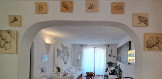 MLB home gallery: contaminazioni di energie, empatia e scambi di esperienze