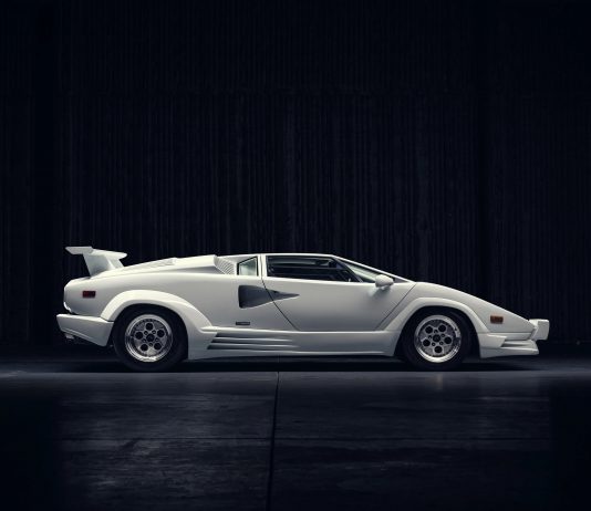 All’asta la Lamborghini guidata da Leonardo DiCaprio in The Wolf of Wall Street LAMBORGHINI Wall Street DI CAPRIO