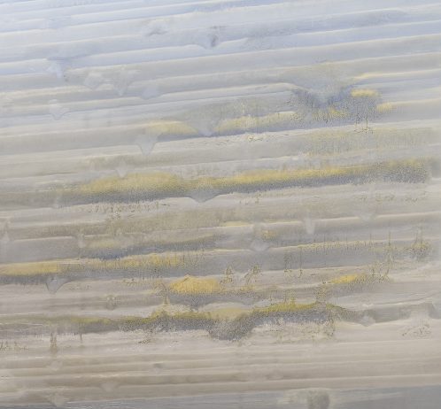 Milano. Il Ritmo di Stefano Cescon in mostra a Palazzo Morando.