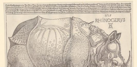 Meraviglie di una collezione d’arte grafica: la mostra al MASI di Lugano