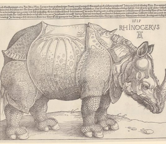 Meraviglie di una collezione d’arte grafica: la mostra al MASI di Lugano