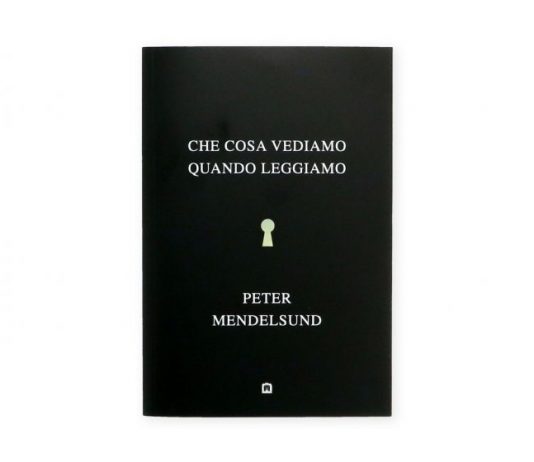 Un libro al giorno. Che cosa vediamo quando leggiamo? di Peter Mendelsund