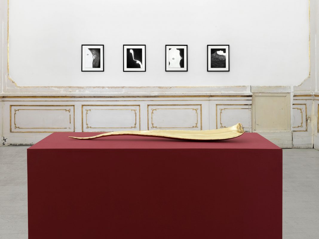 Veronica Bisesti, Dove brulica l'altrove, veduta parziale della mostra, Galleria Alfonso Artiaco, Napoli, 2023