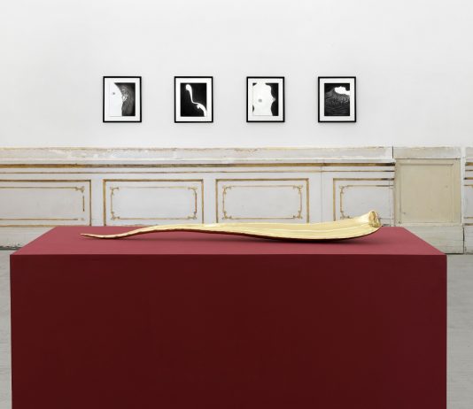 Stelle sulla città delle dame: Veronica Bisesti in mostra alla Galleria Alfonso Artiaco, Napoli Veronica Bisesti, Dove brulica l'altrove, veduta parziale della mostra, Galleria Alfonso Artiaco, Napoli, 2023