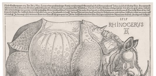 I maestri del disegno e dell’incisione attraverso 500 anni di storia. La mostra in Svizzera