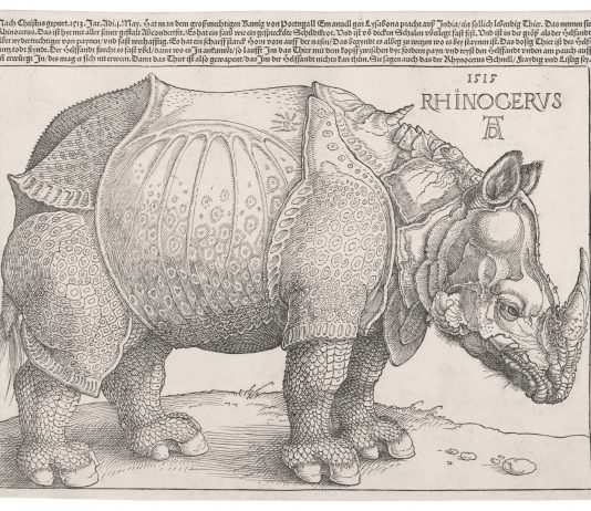 I maestri del disegno e dell’incisione attraverso 500 anni di storia. La mostra in Svizzera