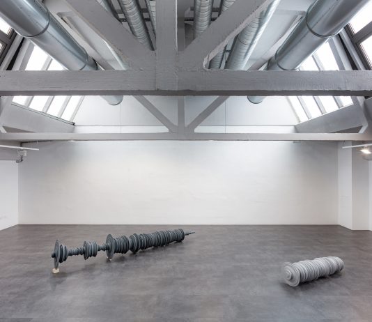 Gli spazi dell’archivio: a Torino la mostra che ripercorre la carriera di Daniele D’Acquisto Daniele D’Acquisto Torino