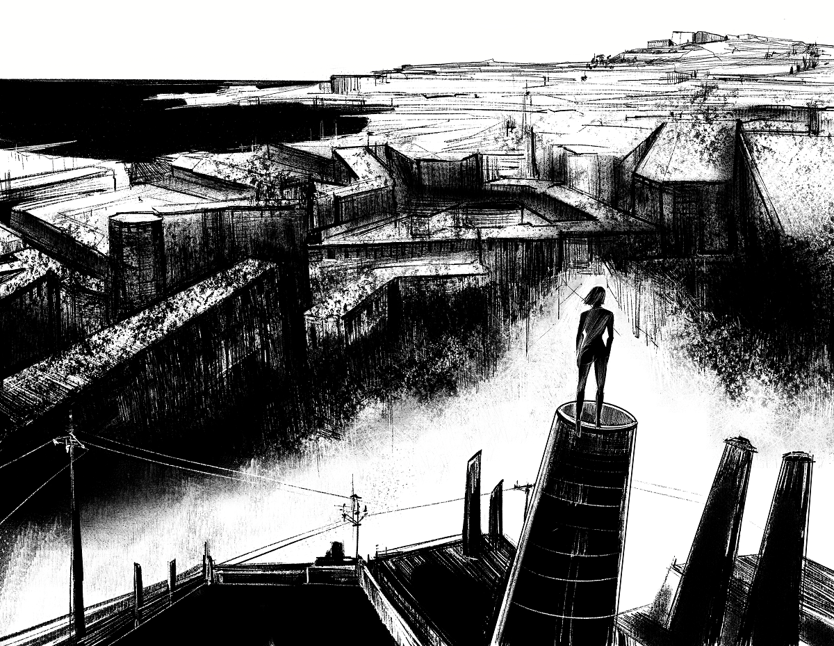 mario coppola minerva