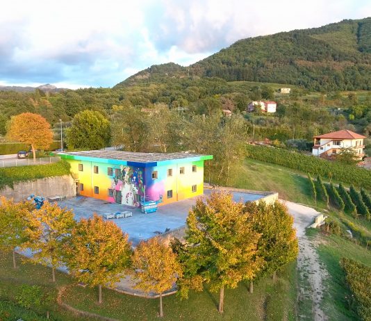 Un viaggio d’arte contemporanea, tra le storiche aziende vitivinicole italiane Fallen Fruit, “A Portrait of Dionysus”, Feudi di San Gregorio, Sorbo Serpico, 2023