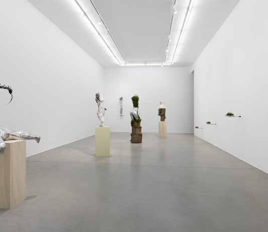 la Zona di Ambra Castagnetti: un organismo fluido, permeabile e permeato