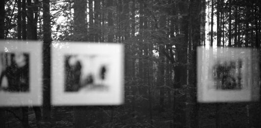 MABOS, le fotografie di Mario Giacomelli in mostra nel Bosco della Sila Mario Giacomelli al MABOS