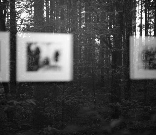 MABOS, le fotografie di Mario Giacomelli in mostra nel Bosco della Sila Mario Giacomelli al MABOS