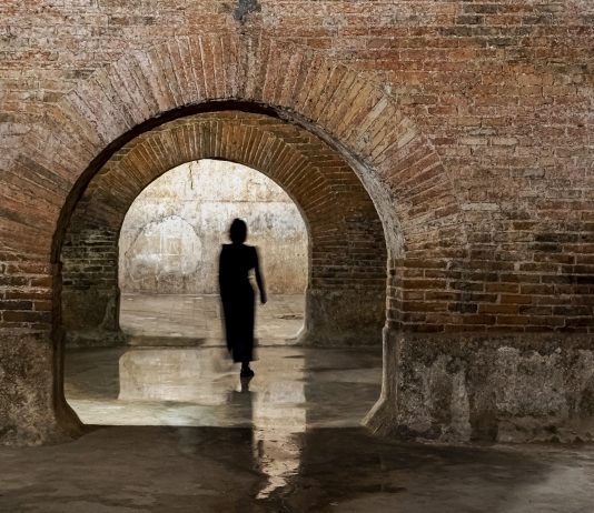 Fermo. Hai tutto il tempo