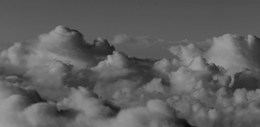 VISCERA | Dennis Del Favero dal 13 settembre al 14 ottobre tra gli spazi di Recontemporary e quelli della Cavallerizza a Torino