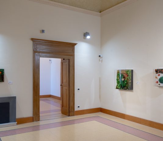 Piero Gilardi. Rigenerare la natura, nelle sale cinquecentesche di Palazzo D’Avalos