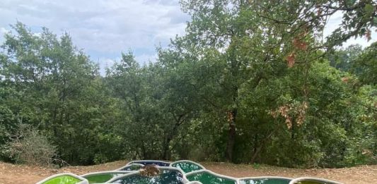 Sculture in campo, dal work in progress alle nuove opere