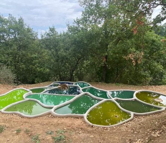 Sculture in campo, dal work in progress alle nuove opere