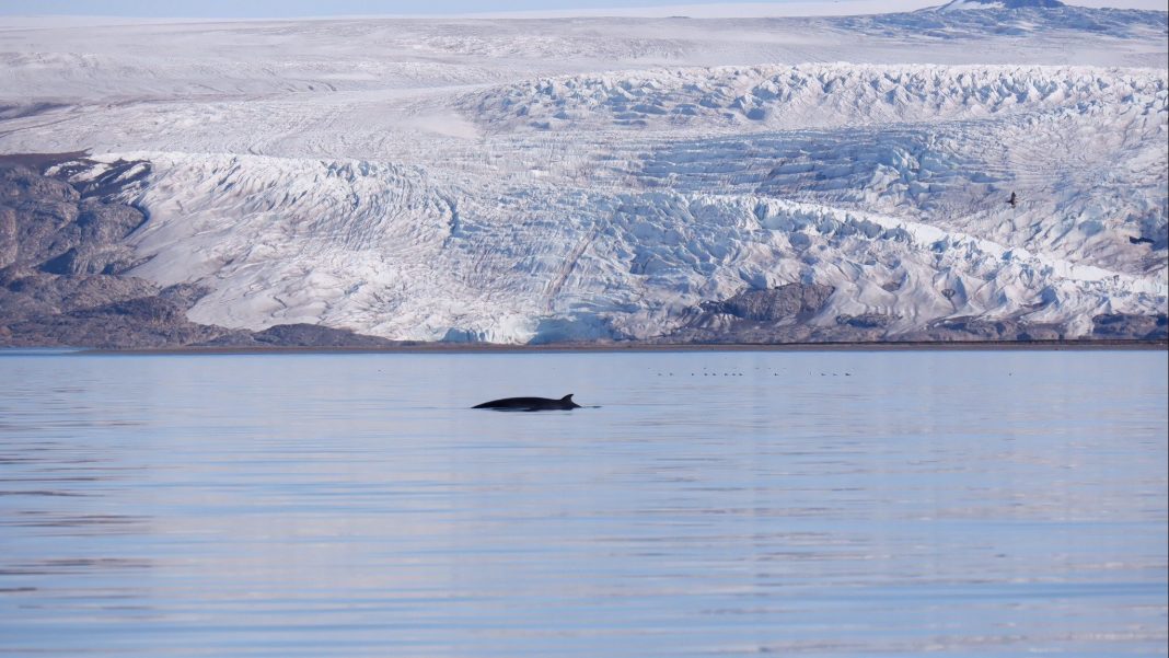 Roberto Ghezzi, The Polar Stream, 2023