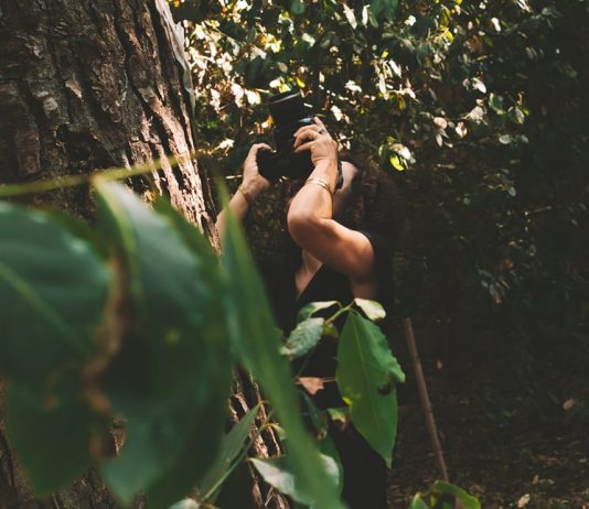 Ospitalità dello sguardo: 12 artisti per riscoprire i cammini della Puglia