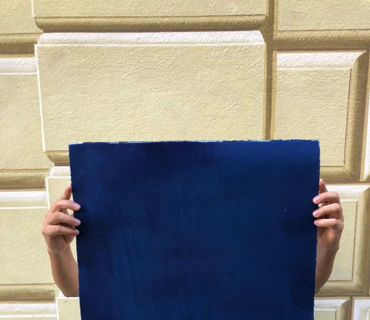 Carlos Lalvay Estrada – IOSONOQUI