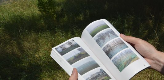 A Lodi arriva il primo art weekend: ecco gli eventi sul territorio