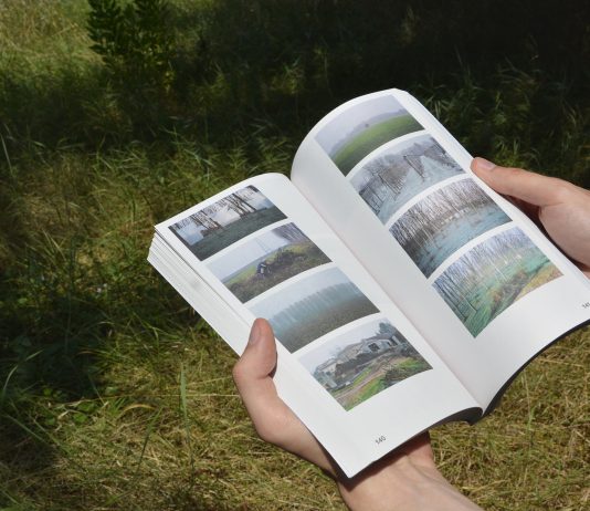 A Lodi arriva il primo art weekend: ecco gli eventi sul territorio