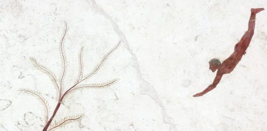 Tonio Hölscher e il tuffatore di Paestum: corpo e anima della Grecia antica
