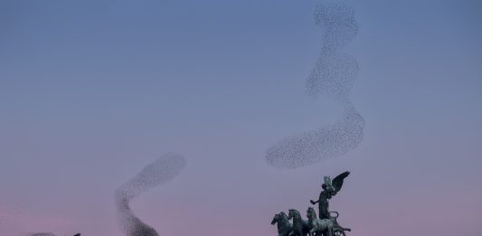 Novembre Nordico 2023: sulle tracce della cultura nordica a Roma Black Sun #142, Rome 2021, by Søren Solkær