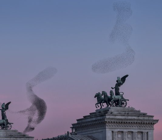 Novembre Nordico 2023: sulle tracce della cultura nordica a Roma Black Sun #142, Rome 2021, by Søren Solkær