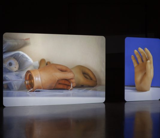 Torna XNL Aperto, il progetto diffuso che coinvolge i luoghi dell’arte di Piacenza XNL Aperto Piacenza progetto