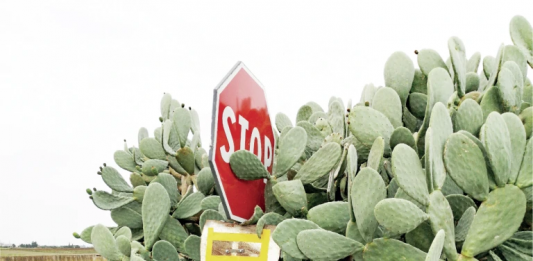 Italia Revisited, oltre i cliché: la parola al fotografo Massimo Baldini