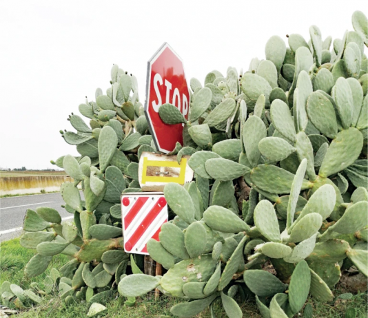 Italia Revisited, oltre i cliché: la parola al fotografo Massimo Baldini