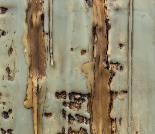 Silvia Infranco e Laura Omacini: le nuove mostre da Marignana Arte a Venezia