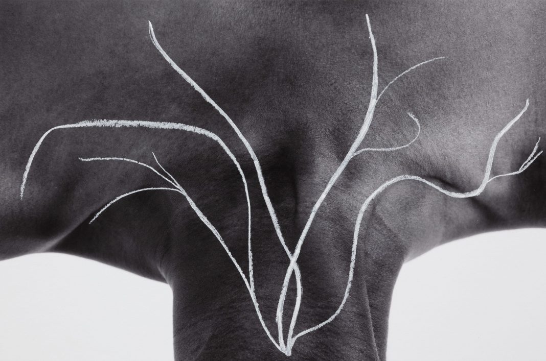 binta-diaw-giornata-del-contemporaneo-2023 Binta Diaw per la Diciannovesima Giornata del Contemporaneo, Pa(y)sage Corporel, 2023