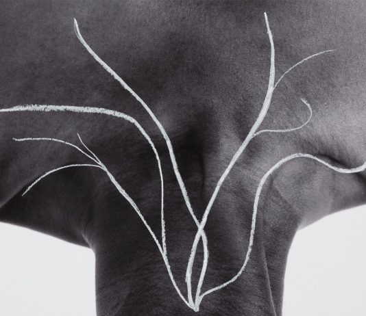 Giornata del Contemporaneo 2023: gli appuntamenti da non perdere Binta Diaw per la Diciannovesima Giornata del Contemporaneo, Pa(y)sage Corporel, 2023