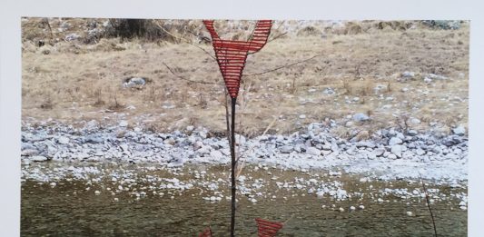 Il dovere della libertà nell’arte: l’intervista a Letizia Cariello-LETIA