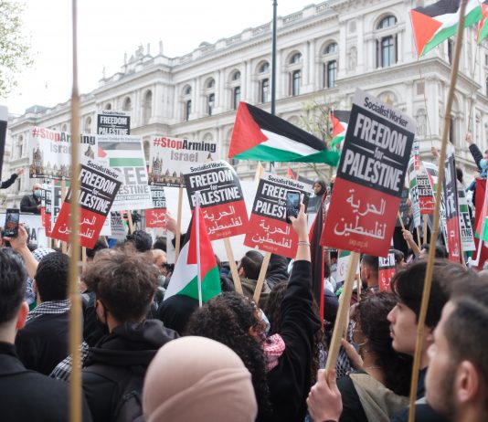 Il mondo dell’arte esprime solidarietà per la Palestina in una lettera aperta