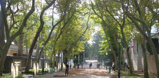 La guerra tra Israele e Hamas scuote anche la Biennale di Venezia