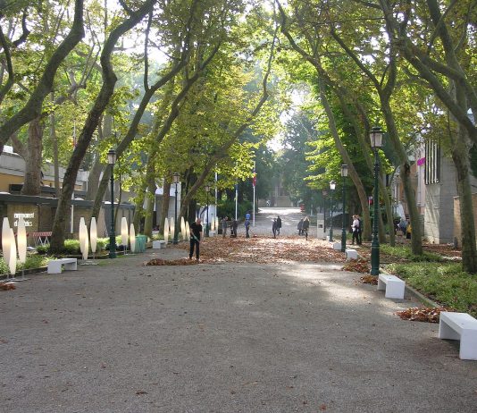 La guerra tra Israele e Hamas scuote anche la Biennale di Venezia