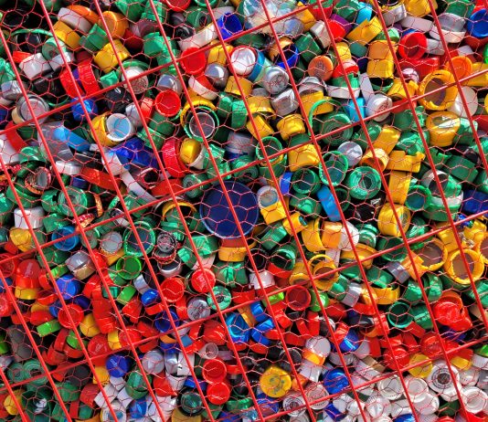 Second Life, giovani artisti raccontano la sostenibilità: aperto il contest