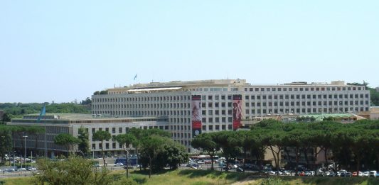 Al Palazzo FAO di Roma, arte contemporanea per riflettere sulla sostenibilità