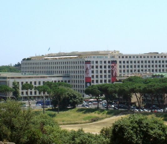 Al Palazzo FAO di Roma, arte contemporanea per riflettere sulla sostenibilità