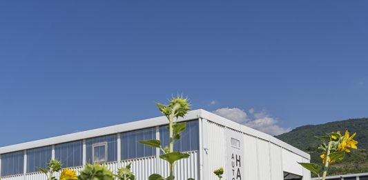 Autostrada Biennale 2025: ecco come sarà la prossima biennale del Kosovo, con sede a Prizren