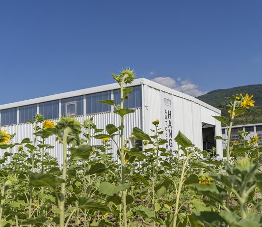 Autostrada Biennale 2025: ecco come sarà la prossima biennale del Kosovo, con sede a Prizren