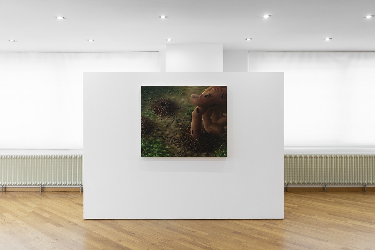 Davide Quartucci, L’intima materia, veduta della mostra, Boccanera Gallery, Trento, 2023