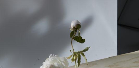 Fotografia e nuove tecnologie, nessuna rivoluzione all’orizzonte: alcune considerazioni post Paris Photo