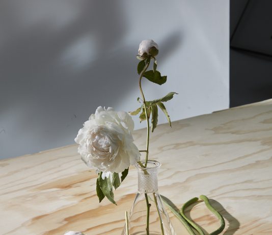 Fotografia e nuove tecnologie, nessuna rivoluzione all’orizzonte: alcune considerazioni post Paris Photo