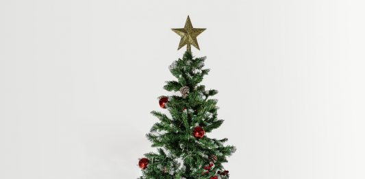 L’albero di Natale di Fondazione Lavazza per supportare la ricerca medica