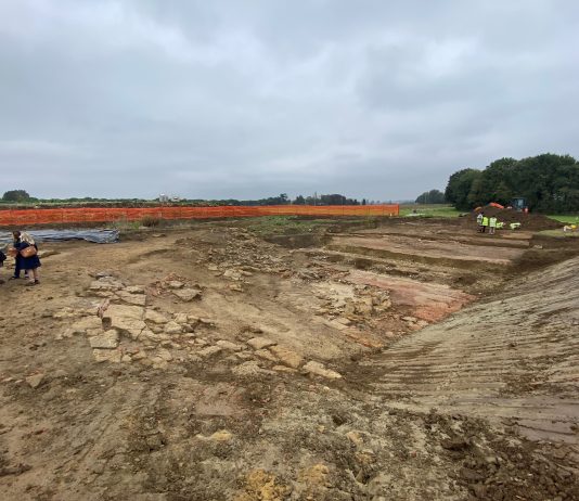 Claterna, dalla Pompei del Nord Italia emergono 3mila monete e 50 gemme