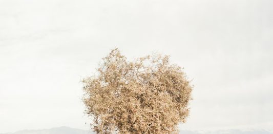 LagosPhoto Festival 2023, la fotografia internazionale tra Nigeria e Benin